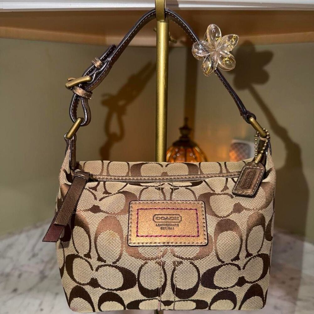 Coach Women's Brown and Tan Bag